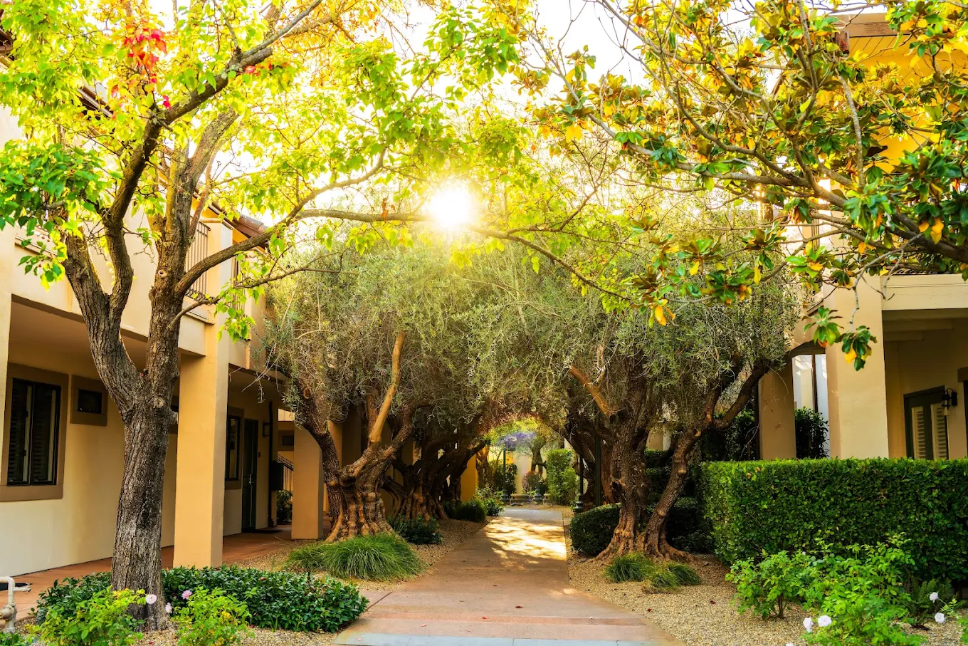 The Estate Yountville