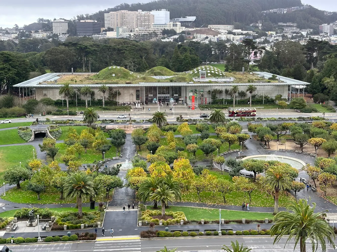 de Young Museum