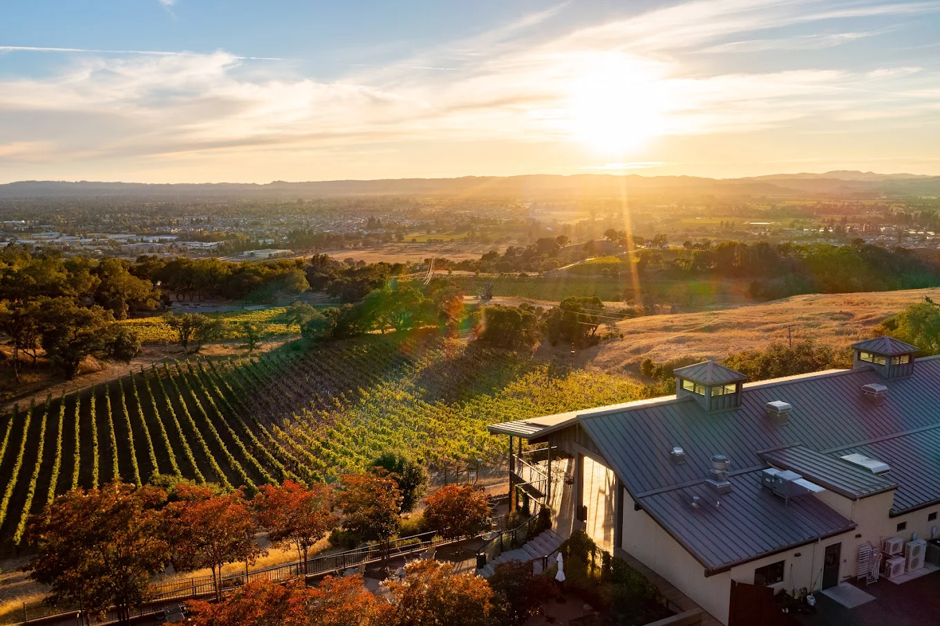 Paradise Ridge Winery