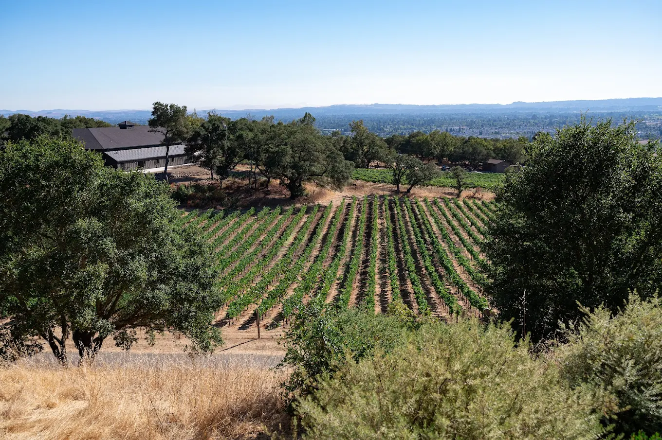 Paradise Ridge Winery