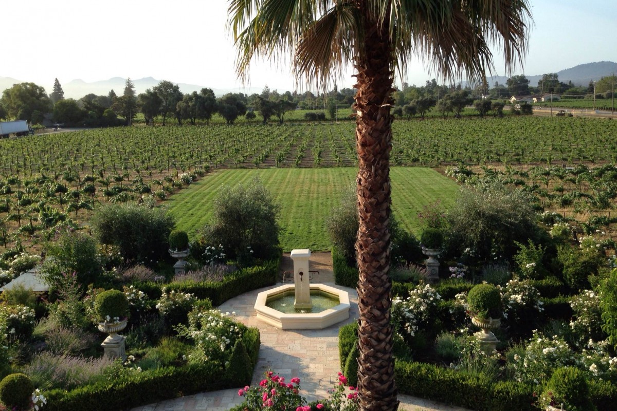 Vittorio’s Vineyard Lawn