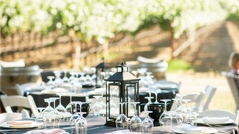 The Vineyard Terrace