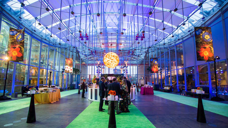 California Academy of Sciences