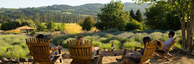 Matanzas Creek Winery